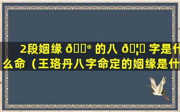 2段姻缘 💮 的八 🦍 字是什么命（王珞丹八字命定的姻缘是什么）